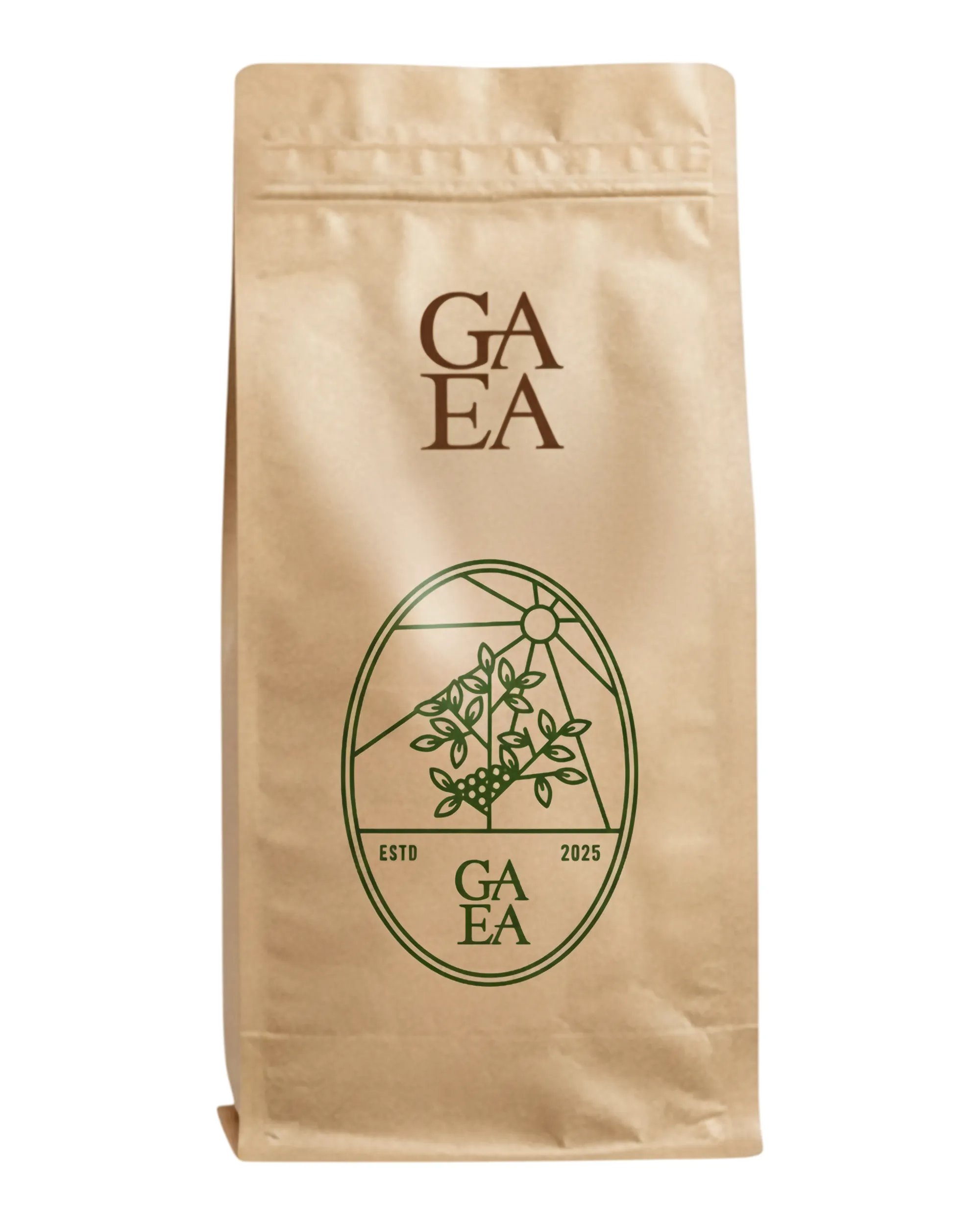 Cà Phê Hạt Liberica Quảng Trị - 1kg